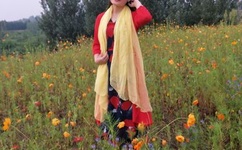 欧美一级夜夜爽